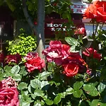 Isis Ξενοδοχείο Άμστερνταμ