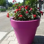 Isis Ξενοδοχείο