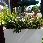 Isis Άμστερνταμ