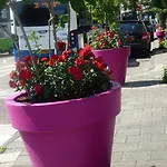 Ξενοδοχείο Isis 3*