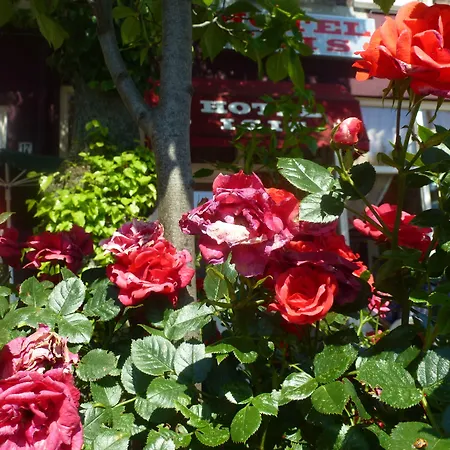 Isis Hotell Amsterdam