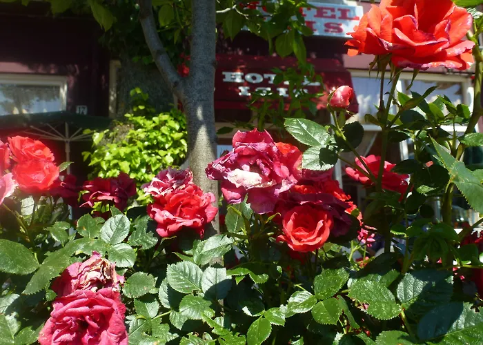 Isis Ξενοδοχείο Άμστερνταμ