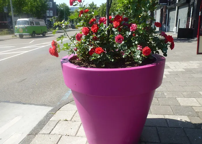 Isis Ξενοδοχείο