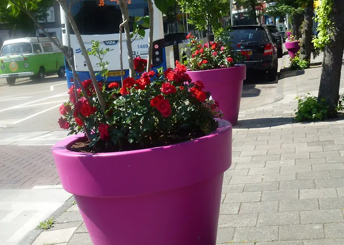 Ξενοδοχείο Isis 3*