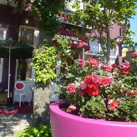 Hotel Isis